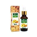 Salvia Mango Seed Oil (Mangifera indica) Carrier Oil for Skin, Hair &amp; Massage – Lightweight Botanical Oil for DIY Skincare &amp; Body Care – 15 ml / 0.50 fl oz