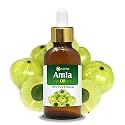 Salvia Amla Oil Phyllanthus emblica Herbal Oil