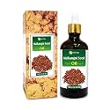 Salvia Malkangani Oil (Celastrus paniculatus) Carrier Oil for Skincare, Haircare &amp; Massage – Botanical Oil for DIY Formulations &amp; Body Care – 100 ml / 3.38 fl oz