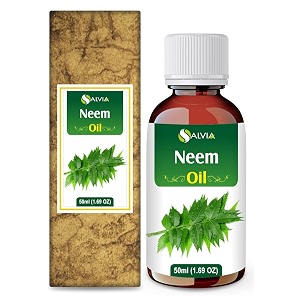 salvia neem oil azadirachta indica carrier oil for skincare haircare amp massage  botanical oil for diy formulations amp body care  50 ml  169 fl oz