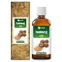 Salvia Nutmeg Oil Myristica fragrans Essential Oil