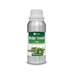 Salvia Ridge Gourd Oil with Dropper 100