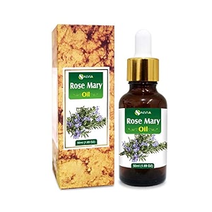 Salvia Rosemary Oil Rosmarinus officinalis Essential Oil