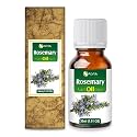 Salvia Rosemary Oil Rosmarinus officinalis Essential Oil