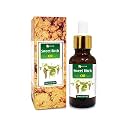 Salvia Sweet Birch (Betula Lenta) Oil |100% Pure &amp; Natural Undiluted Essential Oil Organic Standard/Promotes Skin Toning, Improve Youthful Look, Help Sagging Skin -30 ML with Dropper