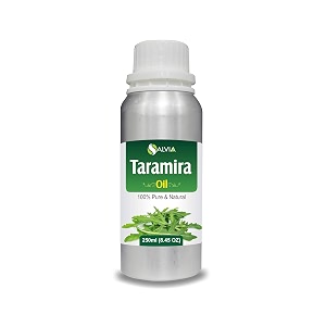salvia taramira oil eruca sativa carrier oil for skincare haircare amp massage  botanical oil for diy formulations amp body care  250 ml  845 fl oz