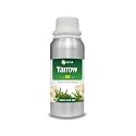 Salvia Yarrow Oil with Dropper 100 Natural