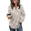 Sampeel Hoodies for Women Trendy Fall Fashion 2026 V Neck Oversized Sweatshirt Plus Size Tops Clothes