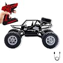 Sanghariyat® Remote Control Rock Crawler 5 Function High Speed 1:18 Rc Car Toys for Boys 2Wd Off Road Vehicle Toy Cars for Kids Monster Truck Rock Climbing Car Toy for Kids【Colors as Per Stock】
