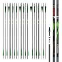 sanlida 100 Pure Carbon Hunting Arrows Olympic-Grade
