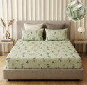 SANMARINO Cotton Super King Fitted Elastic 220