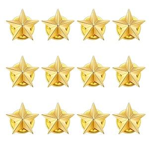 SANNIDHI Badges with Pin 30mm Star Badge