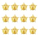 SANNIDHI Badges with Pin 30mm Star Badge