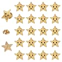 SANNIDHI Badges with Pin 30mm Star Badge
