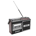 Sanpyl Cassette Tape Player, AM FM Portable Cassette Tape Player for Travel Indoor Outdoor (US Plug)