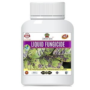 sansar agro liquid fungus remover essential organic fungicide for removing all types of fungus from plant
