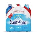 Sant'Anna Frizzante Sparkling Natural Mineral Water, 16.9 Fl Oz (6-Pack of 10) | Pure Italian Alps Mountain-Fresh Drinking Water | Natural Functional Drink | Sodium-Free Mineral in BPA-Free Bottles