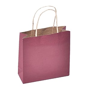 sapco gift paper carry bag pack of 10solid brown