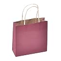 Sapco Gift Paper Carry Bag Pack of 10(Solid Brown)