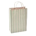 Sapco Paper bag Carry Bag for Marriage, Birthday, Holiday Pack of 10(Green)(9x13x3.5-Inch)