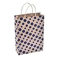 Sapco Polka Dot Gift Paper Bag Pack of 10 (9x13x3.5-Inch, Blue)