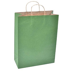 sapco gift paper bag brown kraft mg green carry bag for gifting purpose and festive occasions 12x16x5-inch pack of 10 large