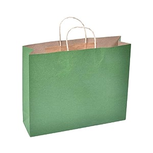 sapco gift paper bag carry bag pack of 10solid-green