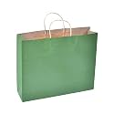 Sapco Gift Paper Bag Carry Bag Pack of 10(Solid-Green)