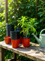 SaplingsWorld Thermo Plastic Flower Pot 5