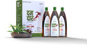 Saptarishi Herbals Damdar Ayurvedic Pain Relief Oil