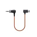 Saramonic SR-USB-C02 | Locking 3.5mm TRS to USB-C Timecode Cable for TC-NEO and Other Timecode Generators K9, DJI Osmo Action Or Pocket Series