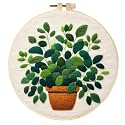 SARBUTER Needle Felting Kits, DIY Wool Felt Starer Needle Felting Kits for Beginners ，Suitable for Giftware Home Decoration (Potted Green Plant)