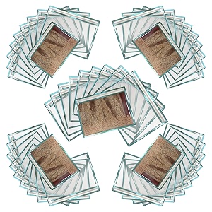 saree cover set of 50 - transparent single saree bags with zip dustproof non-woven wardrobe organizer for silk designer wedding sarees lehenga blouse suit 36x42 cm sky blue