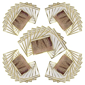 saree cover set of 50 - transparent single saree bags with zip dustproof non-woven wardrobe organizer for silk designer wedding sarees lehenga blouse suit 36x42 cm golden