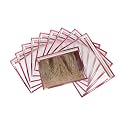 Transparent Saree Covers for Storage Pack of 10, Single Saree Covers with Zip, Non-Woven Saree Organizer, Dustproof Storage Covers for Silk, Designer &amp; Wedding Sarees, Pink (36x42 cm)