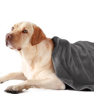 sassoon medium pet towels  ultra soft amp microfiber  quick drying  machine washable  colour - grey pack of 1