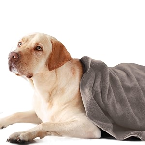 sassoon  dog towels for drying dogs  medium pet towels for dogs towels for dog towels for cats  ultra soft super absorbent microfiber amp quick drying - pack of 1 sandstone