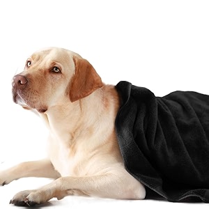 sassoon medium pet towels  ultra soft amp microfiber  quick drying  machine washable  color - black pack of 1