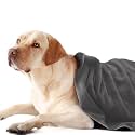 Sassoon Medium Pet Towels | Ultra Soft &amp; Microfiber | Quick Drying | Machine Washable | Colour - Grey (Pack of 1)