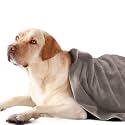 Sassoon | Dog Towels for Drying Dogs | Medium Pet Towels for Dogs |Towels for Dog| Towels for Cats | Ultra Soft, Super Absorbent, Microfiber, &amp; Quick Drying - Pack of 1 (Sandstone)
