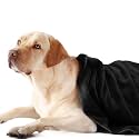 Sassoon Medium Pet Towels | Ultra Soft &amp; Microfiber | Quick Drying | Machine Washable | Color - Black (Pack of 1)
