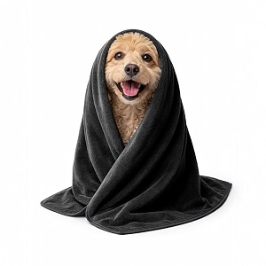 sassoon small pet towels  ultra soft amp microfiber  quick drying  machine washable  color - black pack of 2