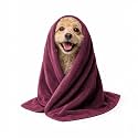 Sassoon Small Pet Towels | Ultra Soft &amp; Microfiber | Quick Drying | Machine Washable | Color - Chestnut (Pack of 2)
