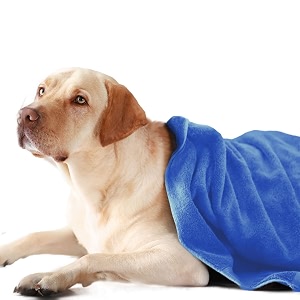 sassoon medium pet towels  ultra soft amp microfiber  quick drying  machine washable  colour - heaven - pack of 1