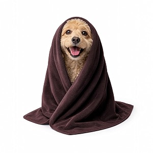 sassoon small pet towels  ultra soft amp microfiber  quick drying  machine washable  colour - cocoa pack of 2