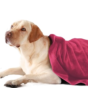 sassoon medium pet towels  ultra soft amp microfiber  quick drying  machine washable  colour - coral pink pack of 1