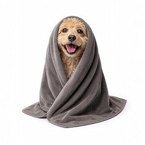 sassoon small pet towels  ultra soft amp microfiber  quick drying  machine washable  colour - sandstone pack of 2
