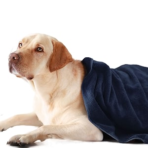 sassoon medium pet towels  ultra soft amp microfiber  quick drying  machine washable  colour - denim pack of 1