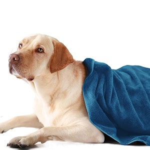 sassoon medium pet towels  ultra soft amp microfiber  quick drying  machine washable  colour - peacock pack of 1