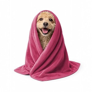 sassoon small pet towels  ultra soft amp microfiber  quick drying  machine washable  colour - coral pink pack of 2